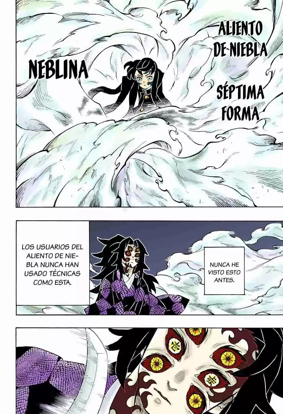 Kimetsu No Yaiba - Digital Colored Comics - Capítulo 165 - Página 13 - LectorTMOo