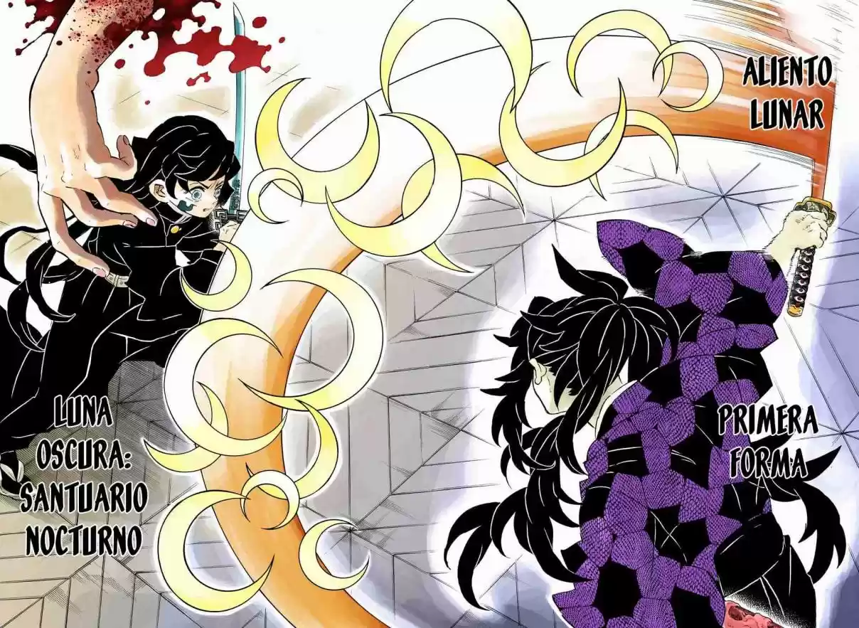 Kimetsu No Yaiba - Digital Colored Comics - Capítulo 165 - Página 15 - LectorTMOo