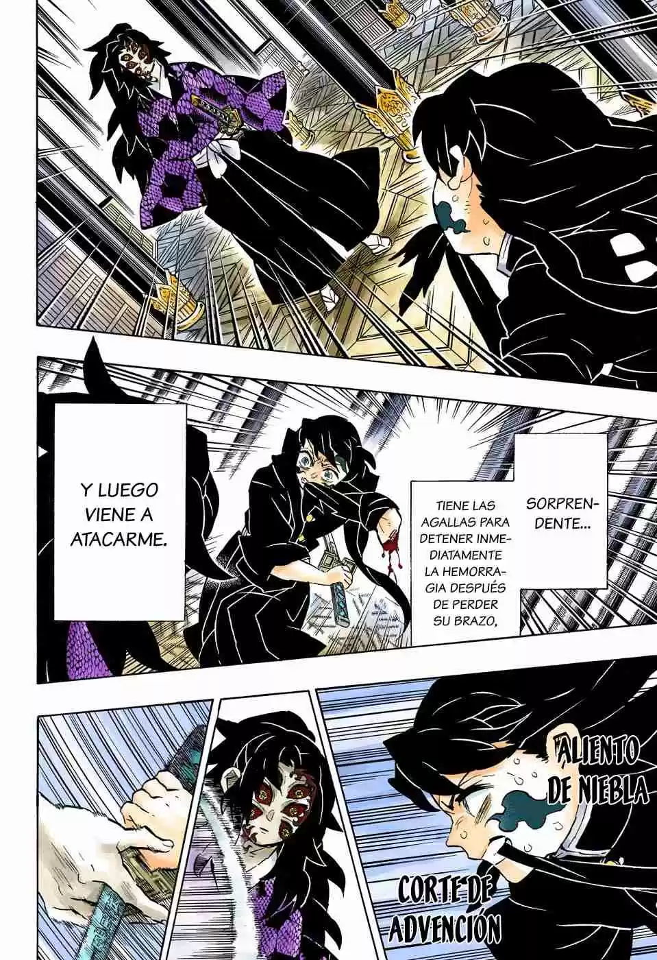 Kimetsu No Yaiba - Digital Colored Comics - Capítulo 165 - Página 18 - LectorTMOo