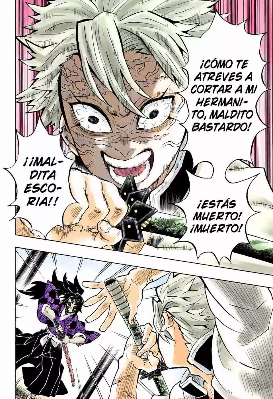 Kimetsu No Yaiba - Digital Colored Comics - Capítulo 166 - Página 17 - LectorTMOo