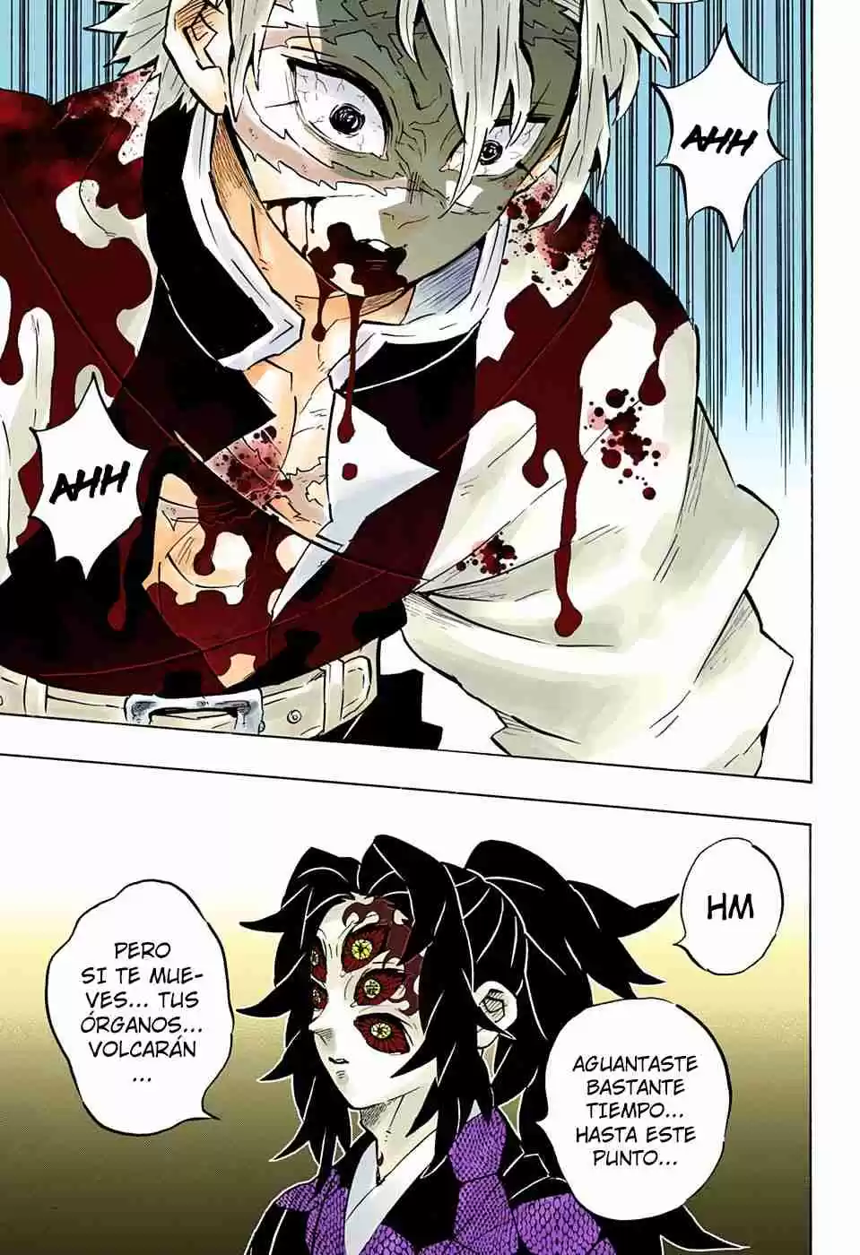 Kimetsu No Yaiba - Digital Colored Comics - Capítulo 167 - Página 17 - LectorTMOo