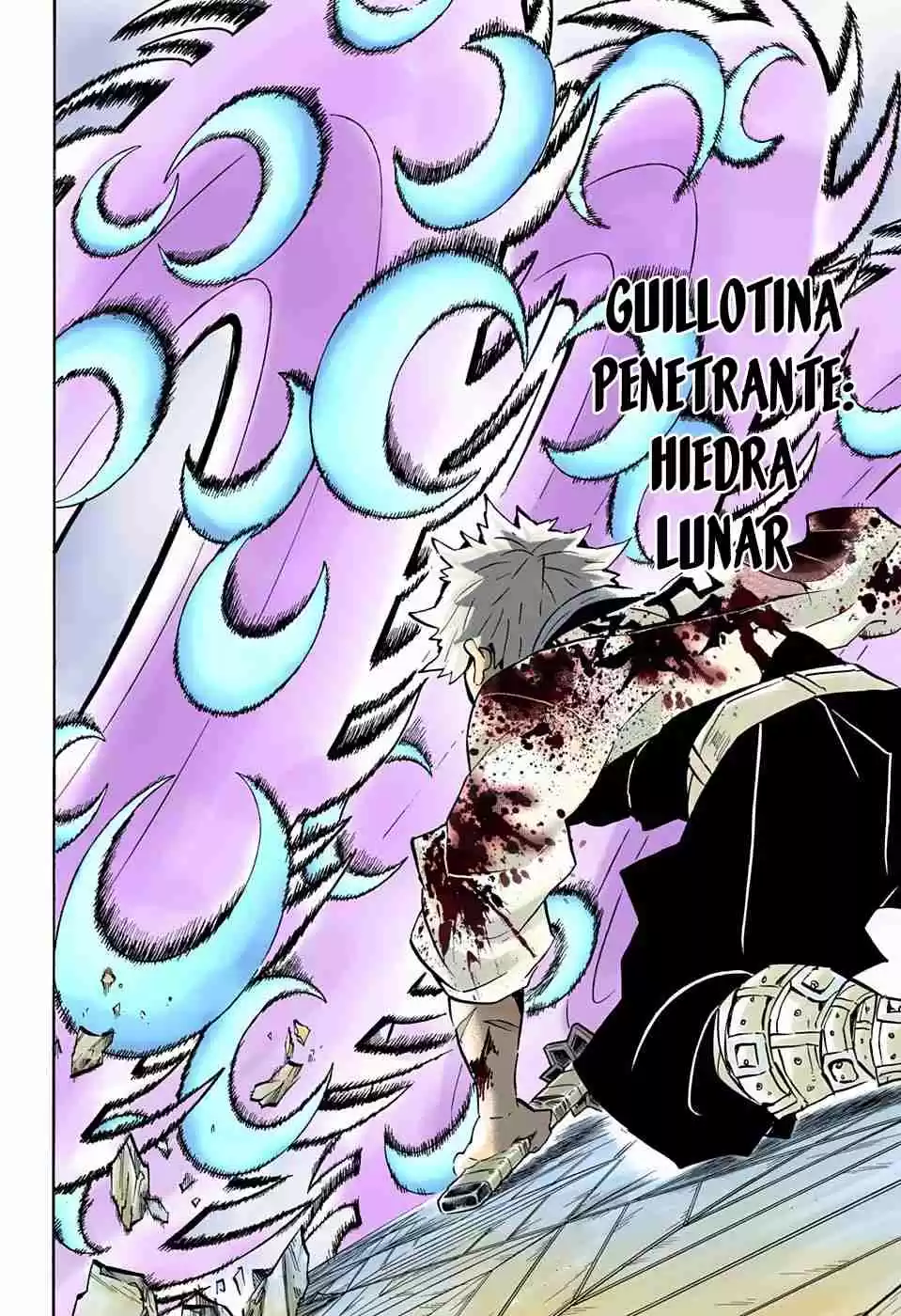Kimetsu No Yaiba - Digital Colored Comics - Capítulo 172 - Página 13 - LectorTMOo