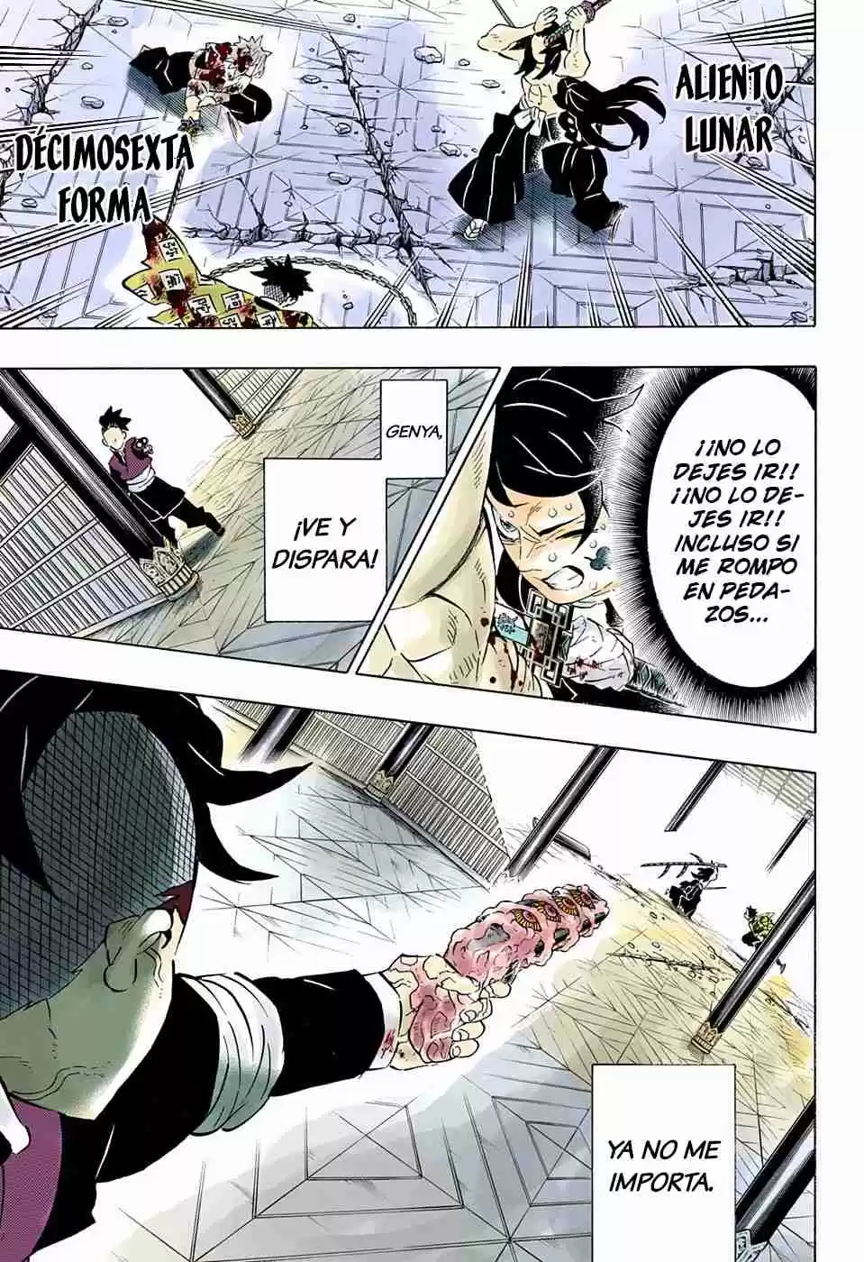 Kimetsu No Yaiba - Digital Colored Comics - Capítulo 173 - Página 18 - LectorTMOo