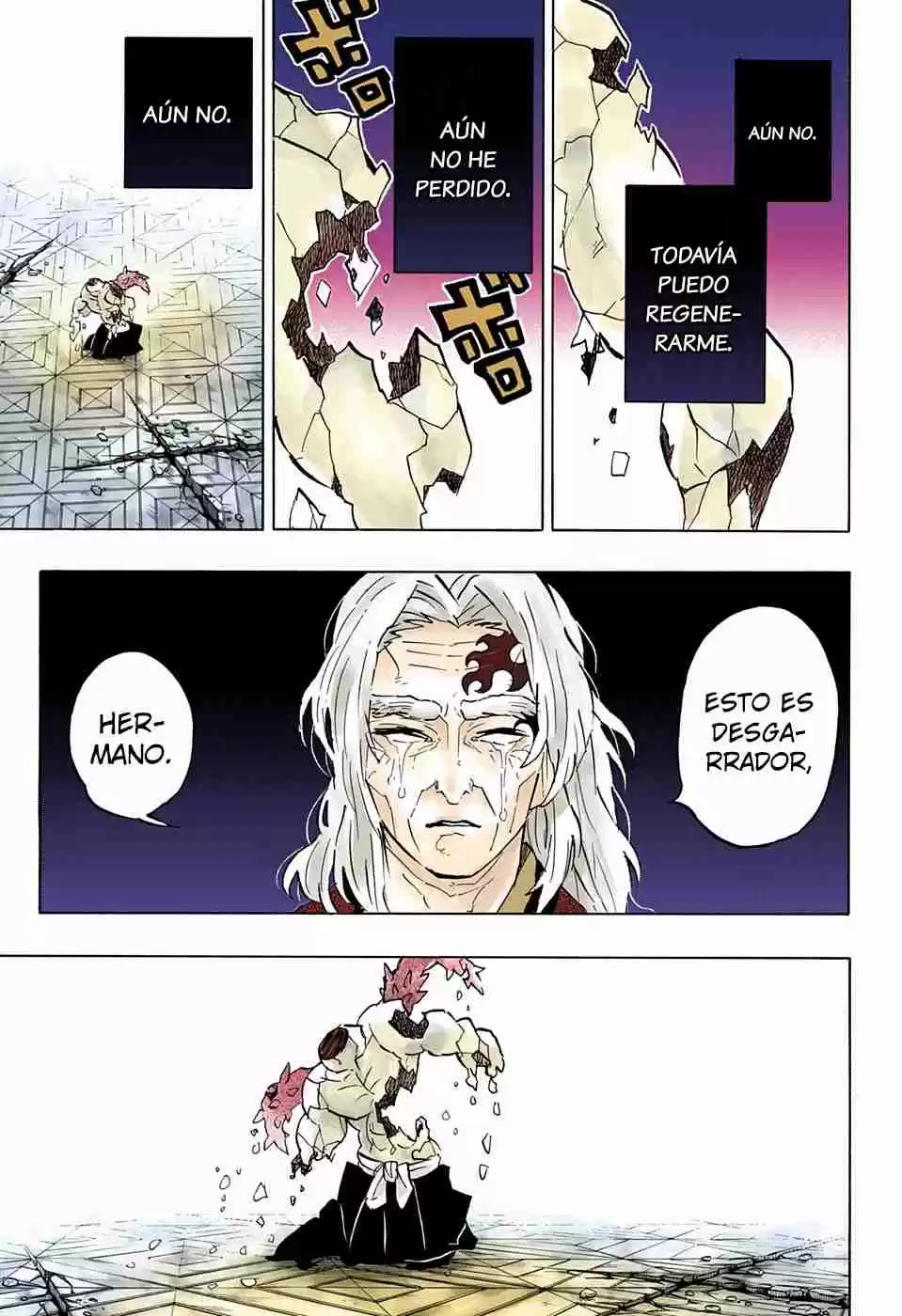 Kimetsu No Yaiba - Digital Colored Comics - Capítulo 176 - Página 18 - LectorTMOo