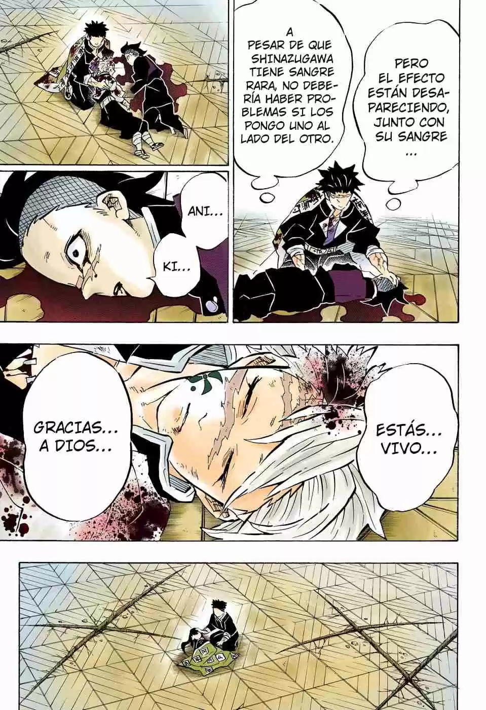 Kimetsu No Yaiba - Digital Colored Comics - Capítulo 179 - Página 6 - LectorTMOo