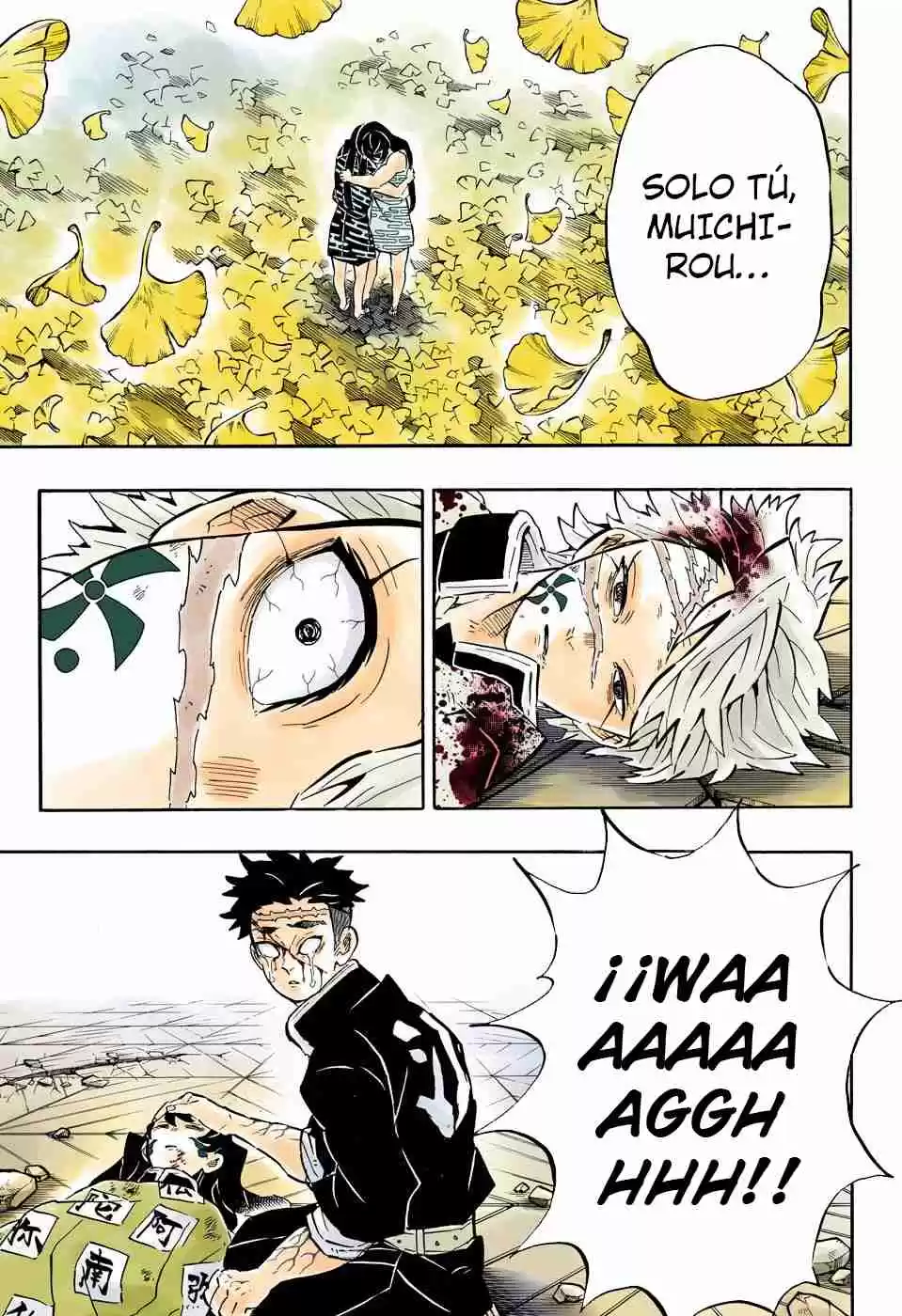 Kimetsu No Yaiba - Digital Colored Comics - Capítulo 179 - Página 14 - LectorTMOo