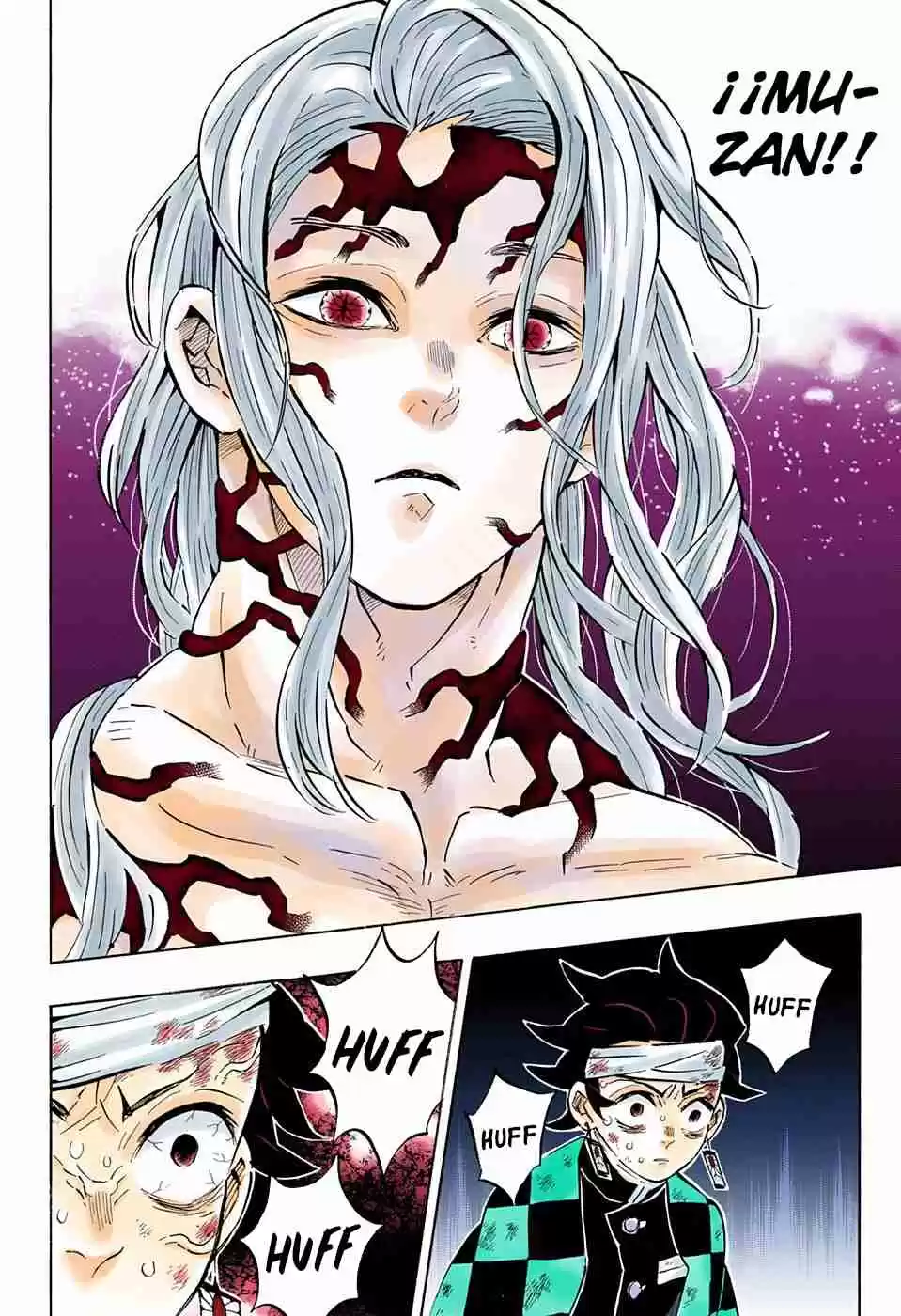 Kimetsu No Yaiba - Digital Colored Comics - Capítulo 181 - Página 12 - LectorTMOo