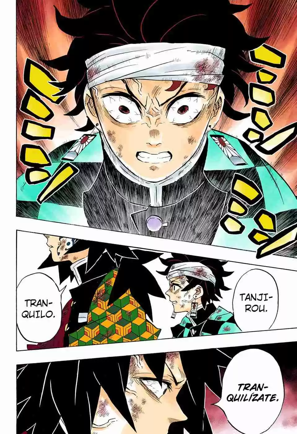 Kimetsu No Yaiba - Digital Colored Comics - Capítulo 181 - Página 14 - LectorTMOo