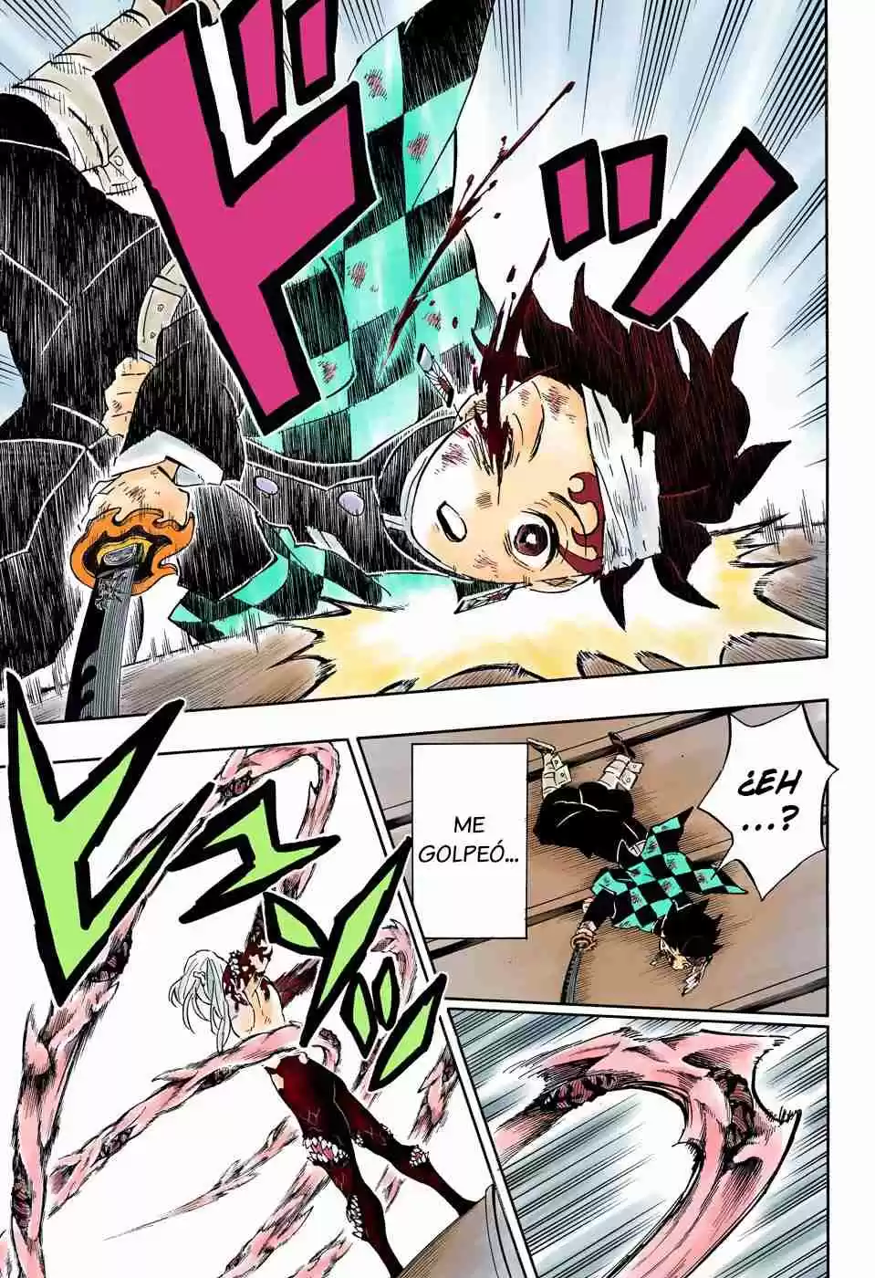 Kimetsu No Yaiba - Digital Colored Comics - Capítulo 182 - Página 10 - LectorTMOo