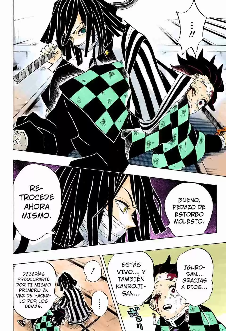 Kimetsu No Yaiba - Digital Colored Comics - Capítulo 182 - Página 19 - LectorTMOo