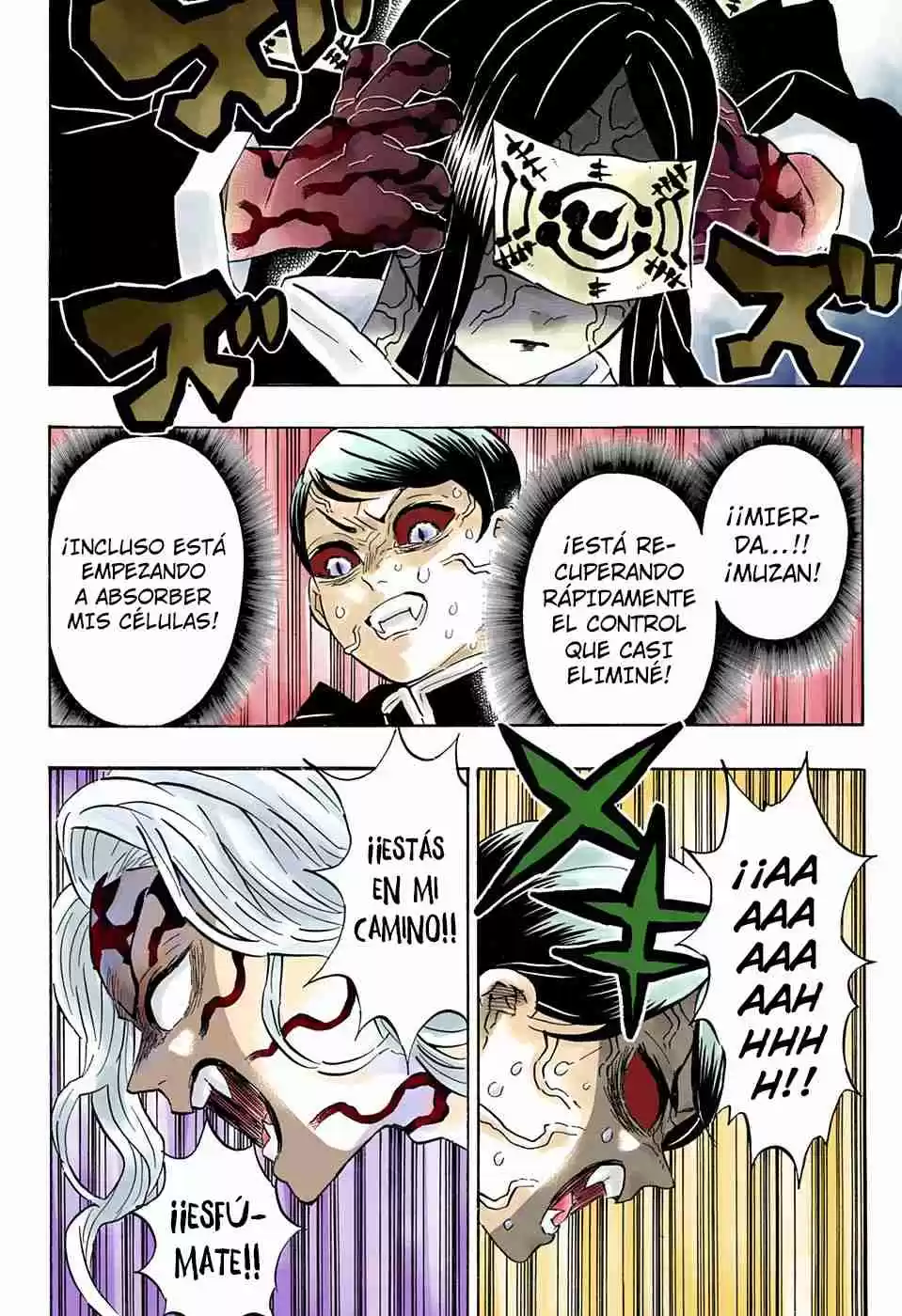 Kimetsu No Yaiba - Digital Colored Comics - Capítulo 183 - Página 9 - LectorTMOo