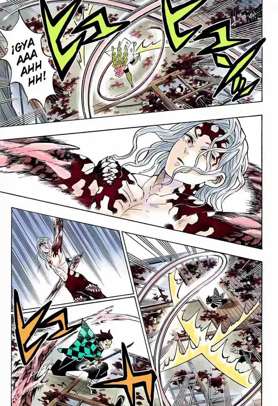 Kimetsu No Yaiba - Digital Colored Comics - Capítulo 183 - Página 16 - LectorTMOo