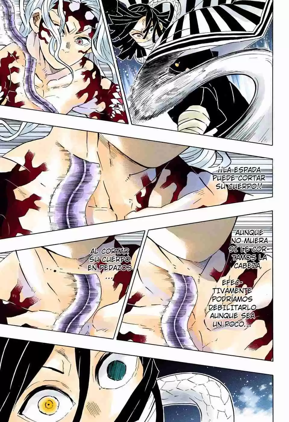 Kimetsu No Yaiba - Digital Colored Comics - Capítulo 184 - Página 10 - LectorTMOo