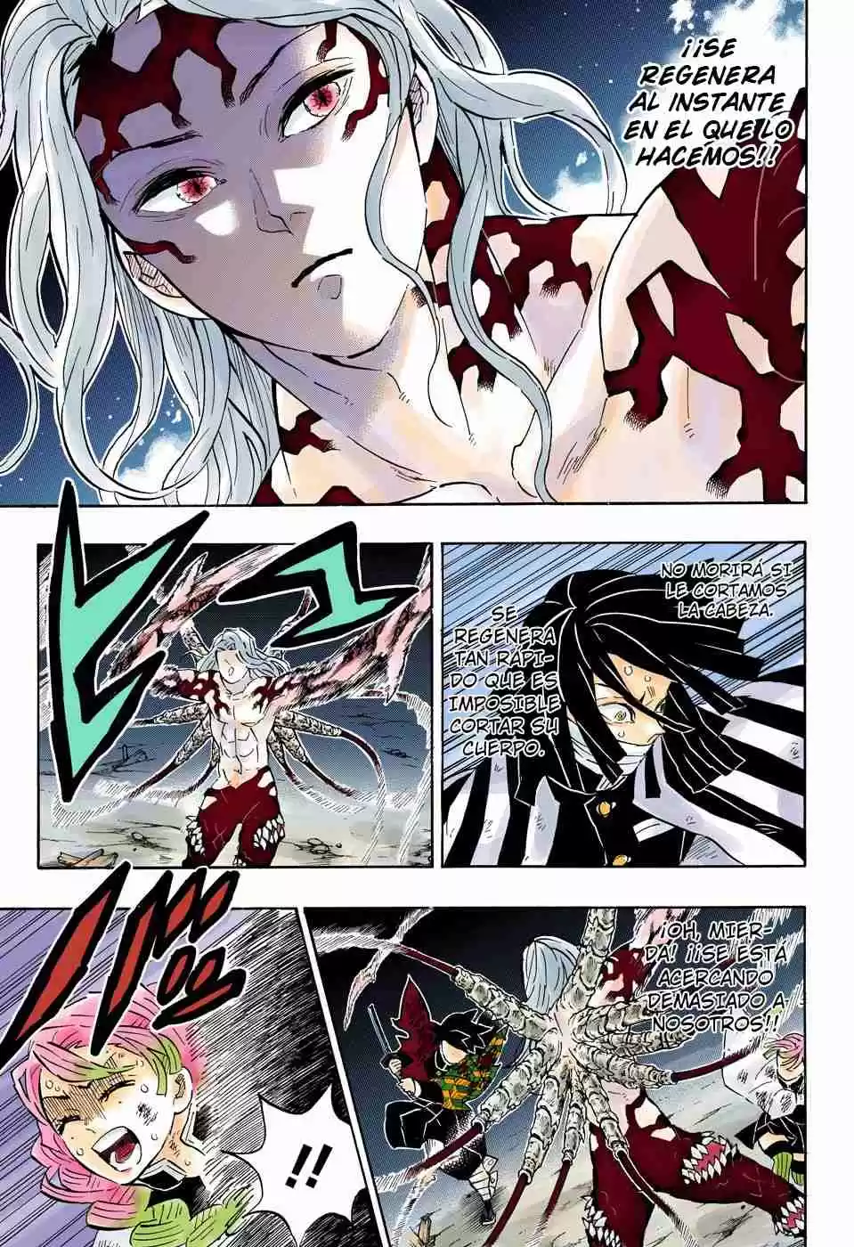 Kimetsu No Yaiba - Digital Colored Comics - Capítulo 184 - Página 12 - LectorTMOo