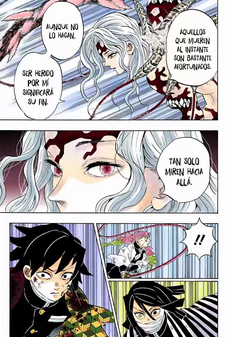 Kimetsu No Yaiba - Digital Colored Comics - Capítulo 184 - Página 17 - LectorTMOo