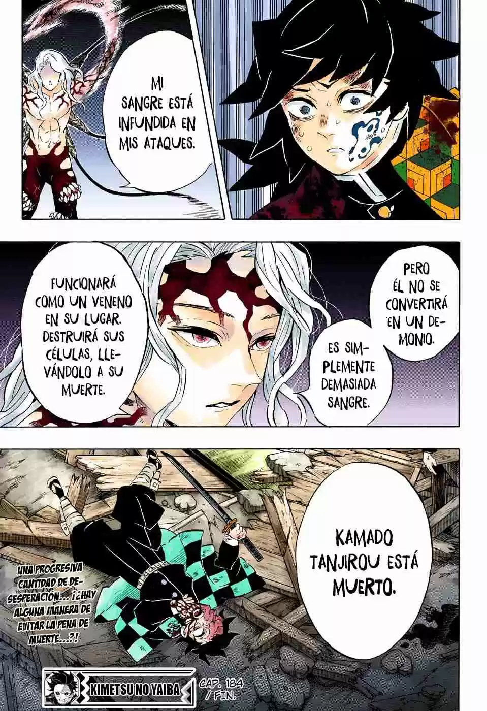 Kimetsu No Yaiba - Digital Colored Comics - Capítulo 184 - Página 19 - LectorTMOo