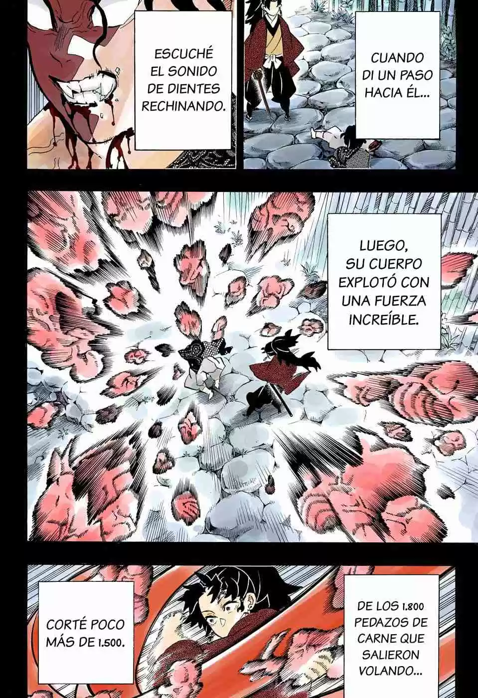Kimetsu No Yaiba - Digital Colored Comics - Capítulo 187 - Página 8 - LectorTMOo