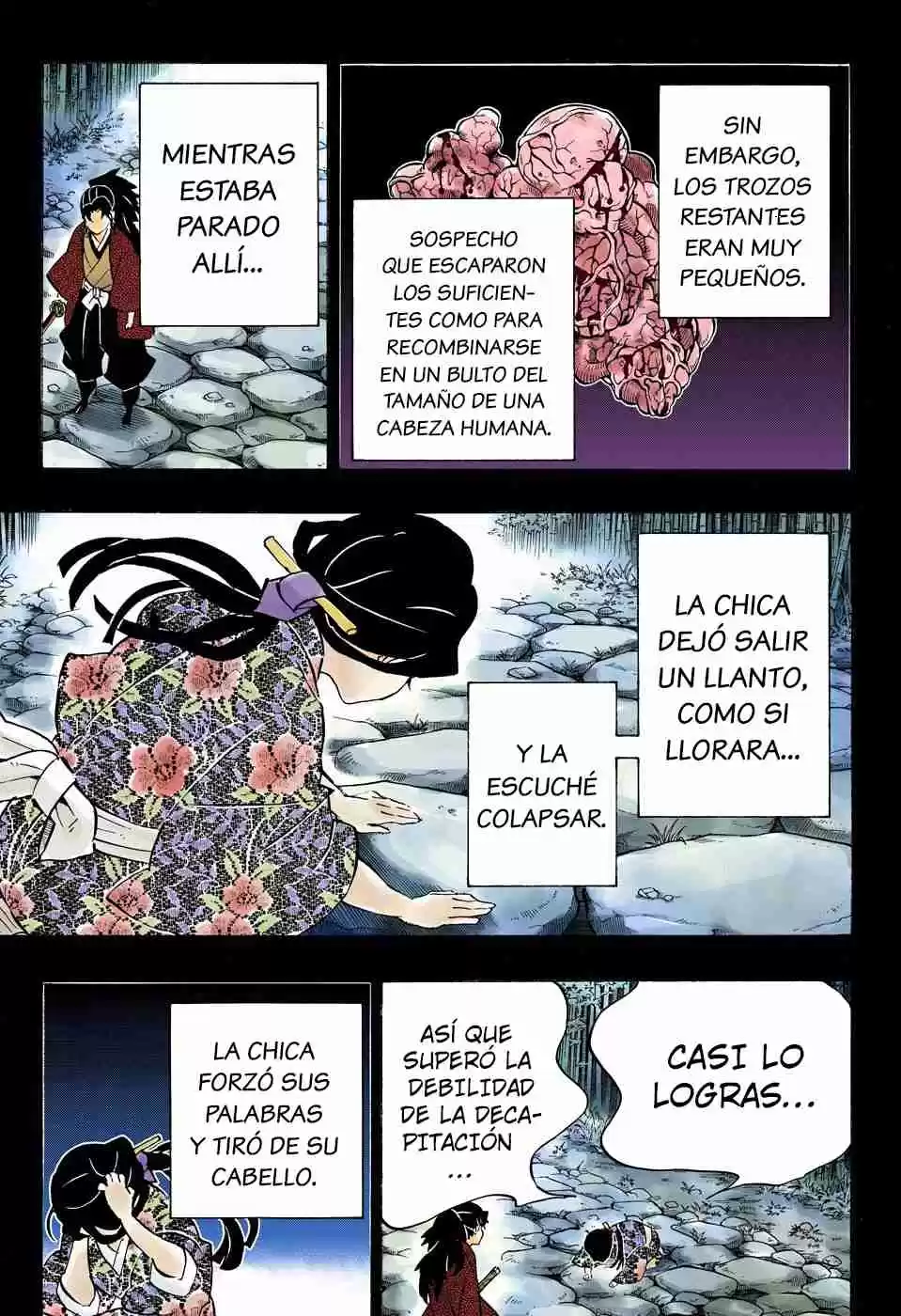 Kimetsu No Yaiba - Digital Colored Comics - Capítulo 187 - Página 9 - LectorTMOo