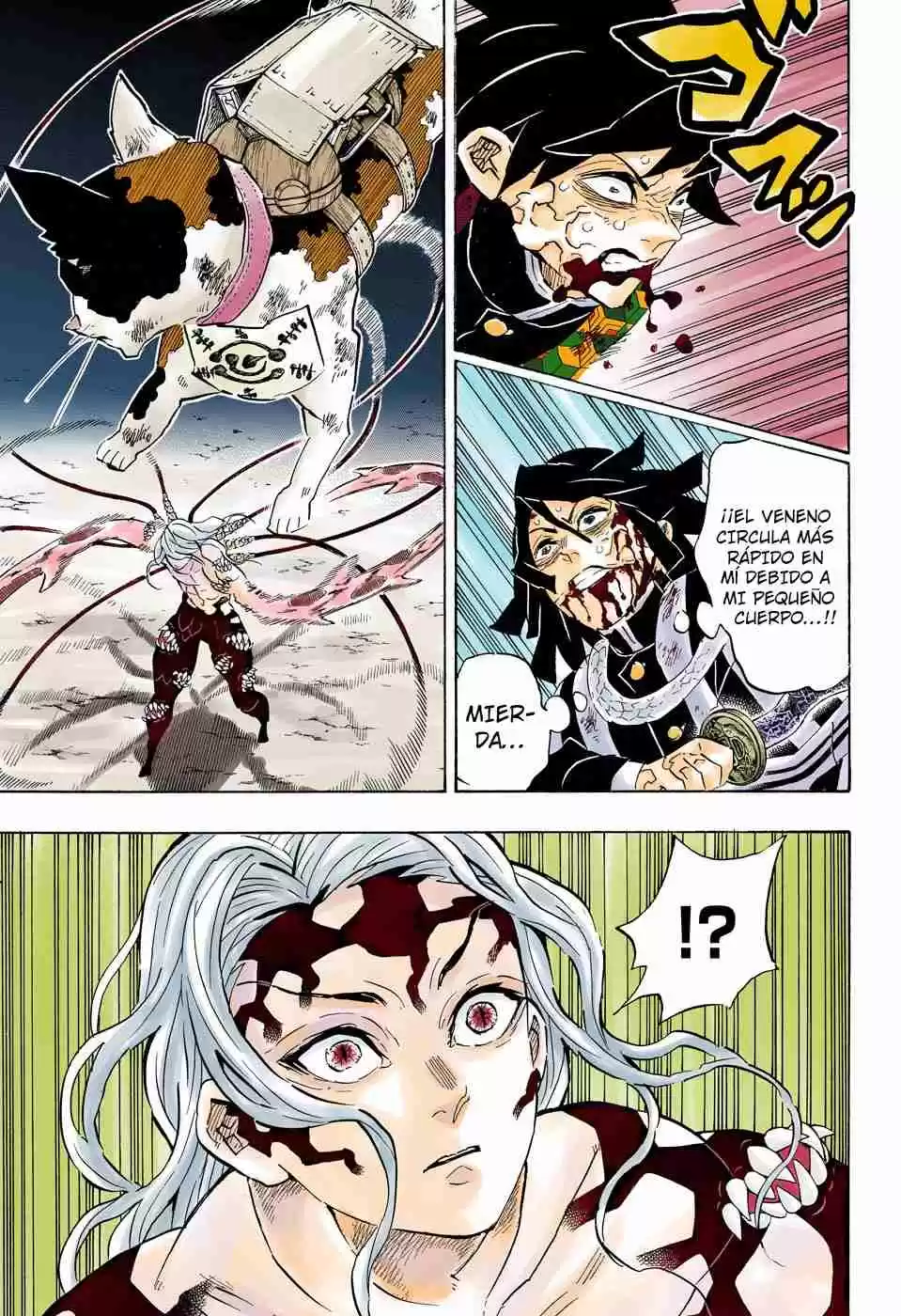 Kimetsu No Yaiba - Digital Colored Comics - Capítulo 189 - Página 24 - LectorTMOo