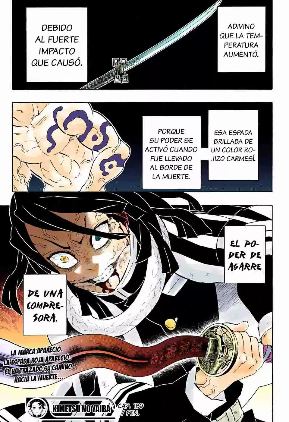 Kimetsu No Yaiba - Digital Colored Comics - Capítulo 189 - Página 40 - LectorTMOo
