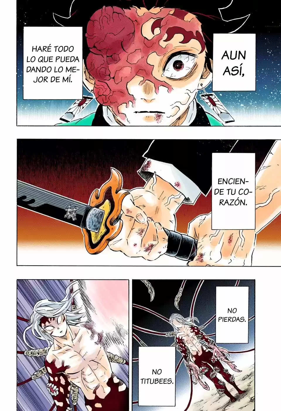 Kimetsu No Yaiba - Digital Colored Comics - Capítulo 192 - Página 12 - LectorTMOo