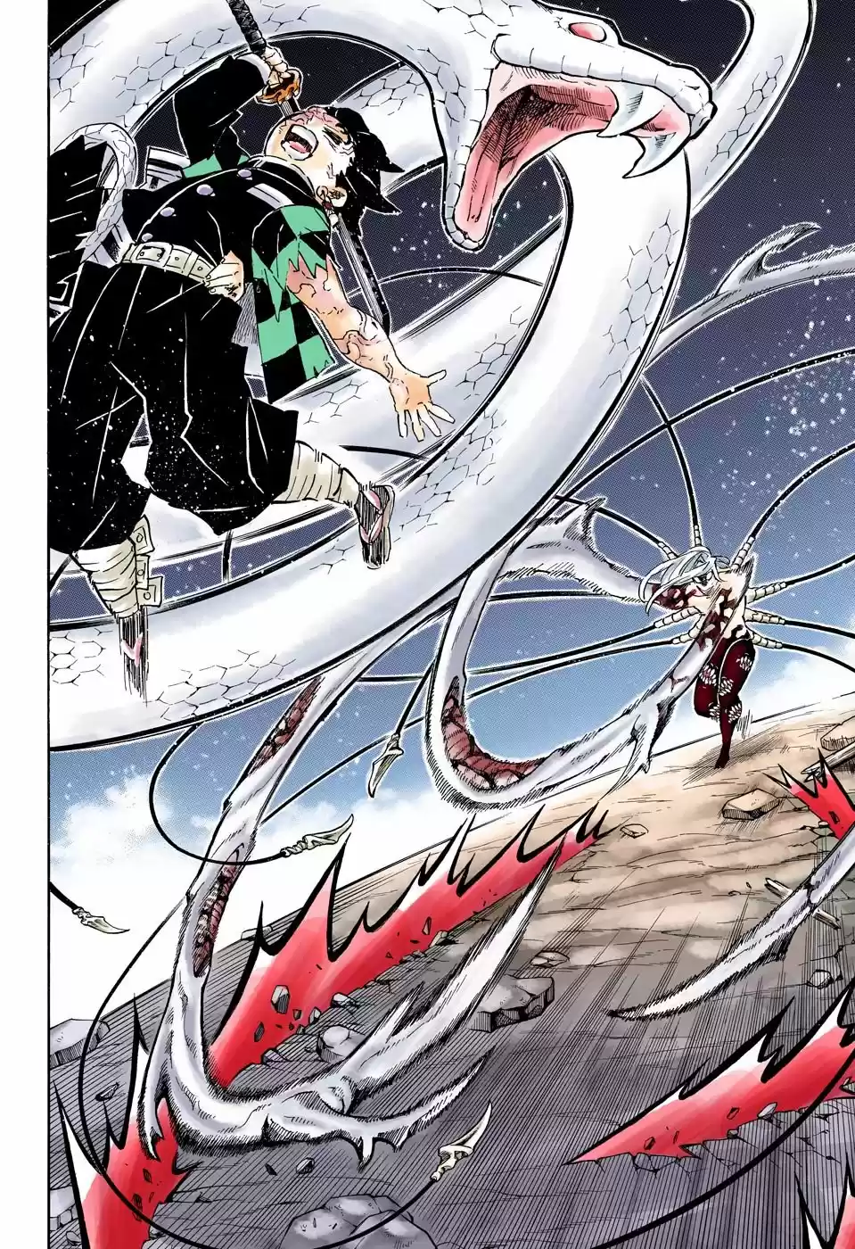 Kimetsu No Yaiba - Digital Colored Comics - Capítulo 194 - Página 9 - LectorTMOo