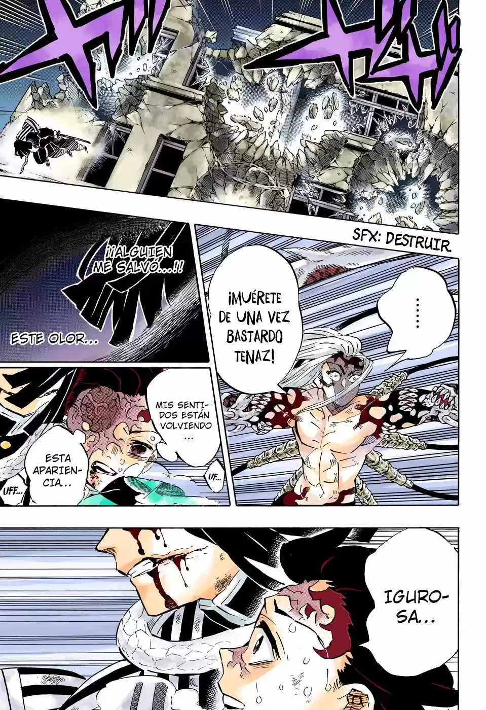 Kimetsu No Yaiba - Digital Colored Comics - Capítulo 194 - Página 10 - LectorTMOo