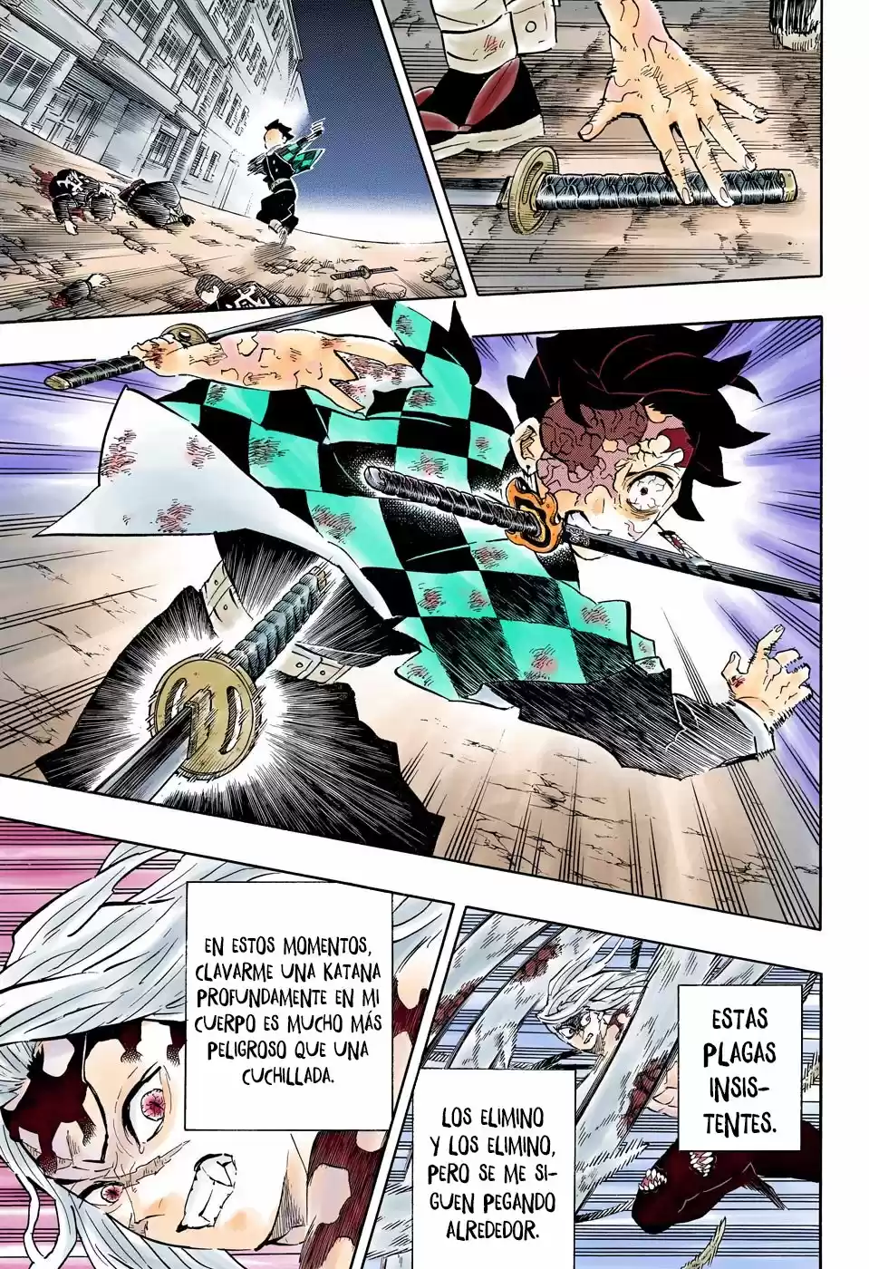 Kimetsu No Yaiba - Digital Colored Comics - Capítulo 195 - Página 12 - LectorTMOo