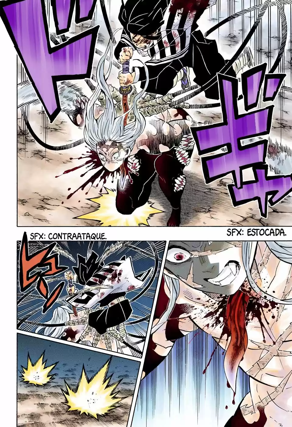 Kimetsu No Yaiba - Digital Colored Comics - Capítulo 195 - Página 13 - LectorTMOo