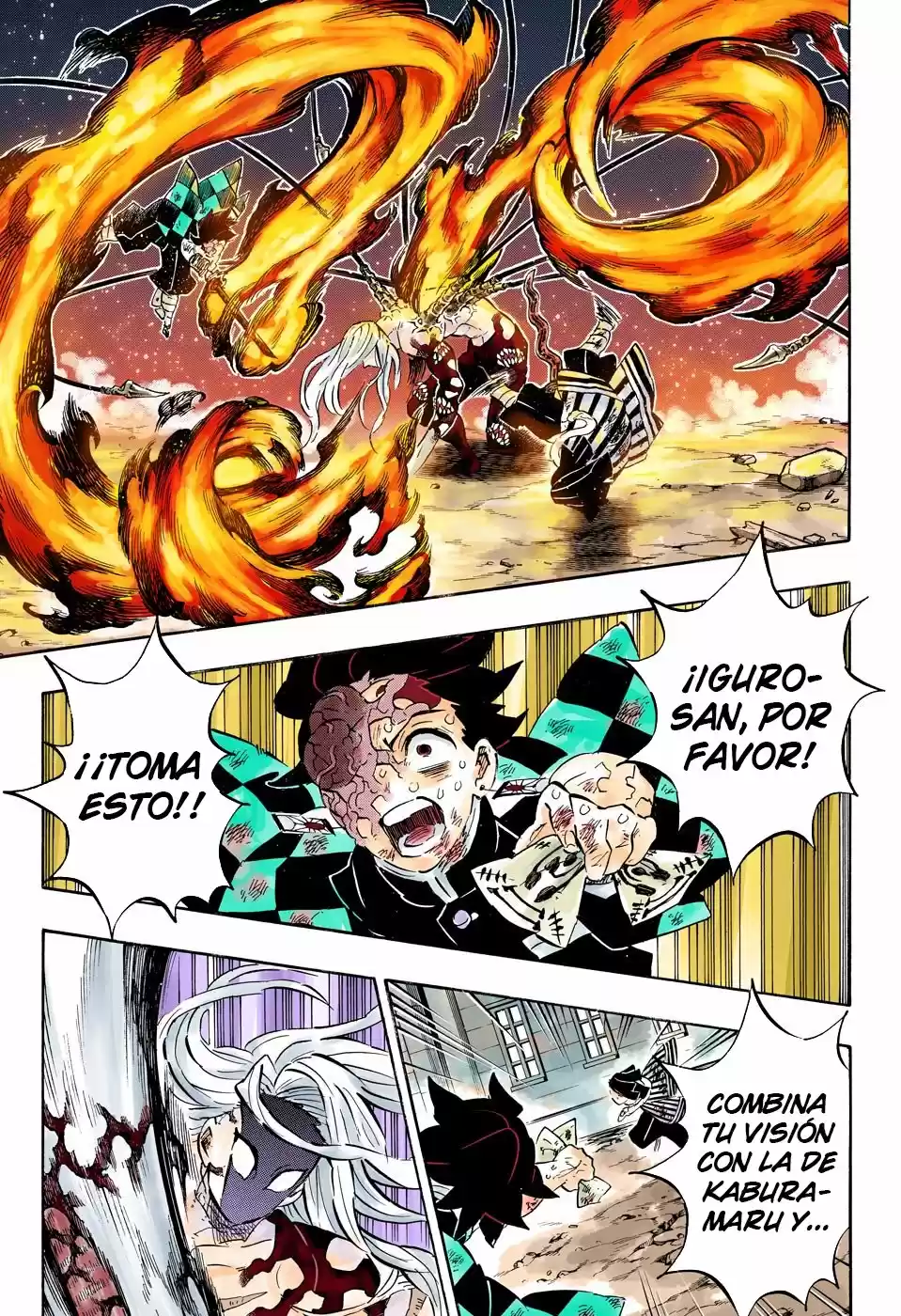 Kimetsu No Yaiba - Digital Colored Comics - Capítulo 195 - Página 14 - LectorTMOo