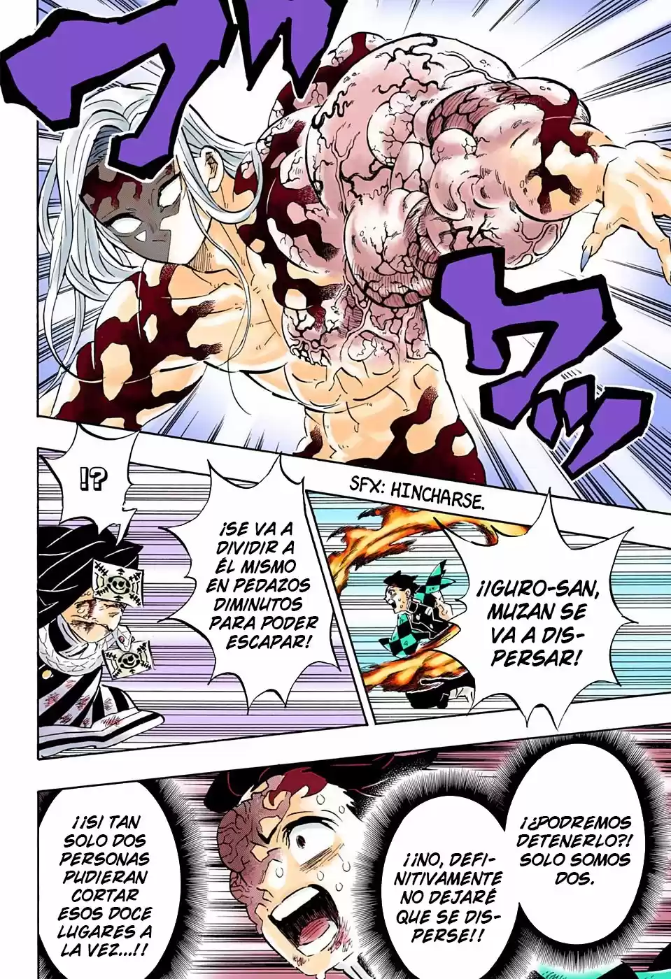Kimetsu No Yaiba - Digital Colored Comics - Capítulo 196 - Página 17 - LectorTMOo