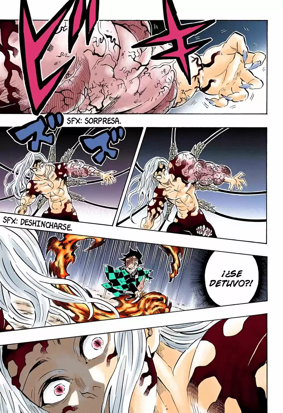 Kimetsu No Yaiba - Digital Colored Comics - Capítulo 196 - Página 18 - LectorTMOo