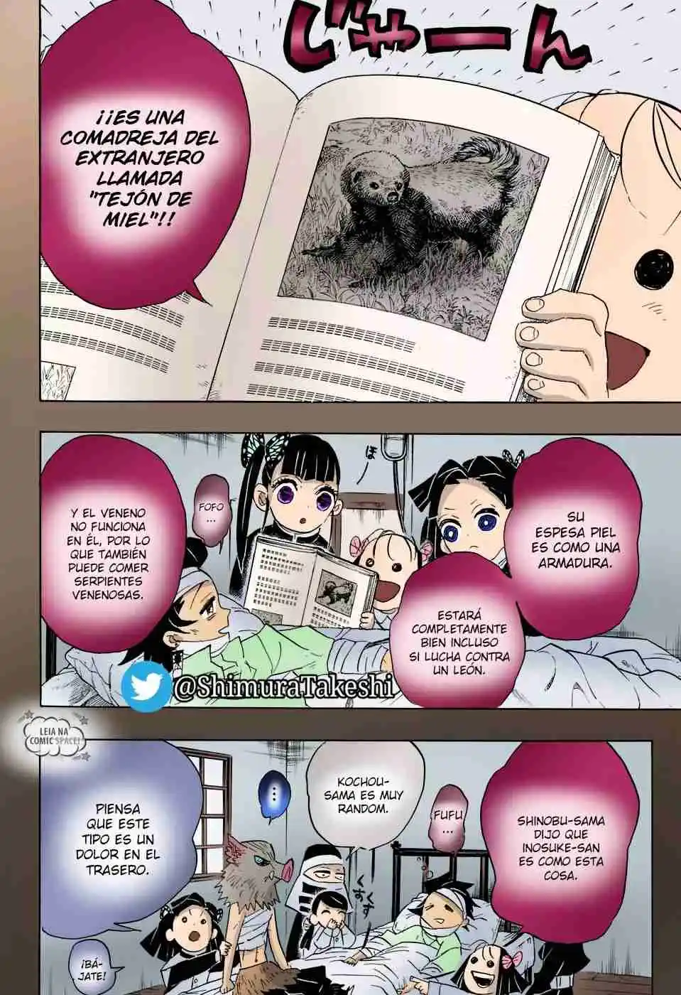 Kimetsu No Yaiba - Capítulo 100.50 - Página 11 - LectorTMOo