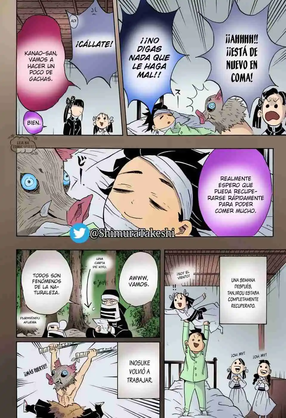Kimetsu No Yaiba - Capítulo 100.50 - Página 13 - LectorTMOo