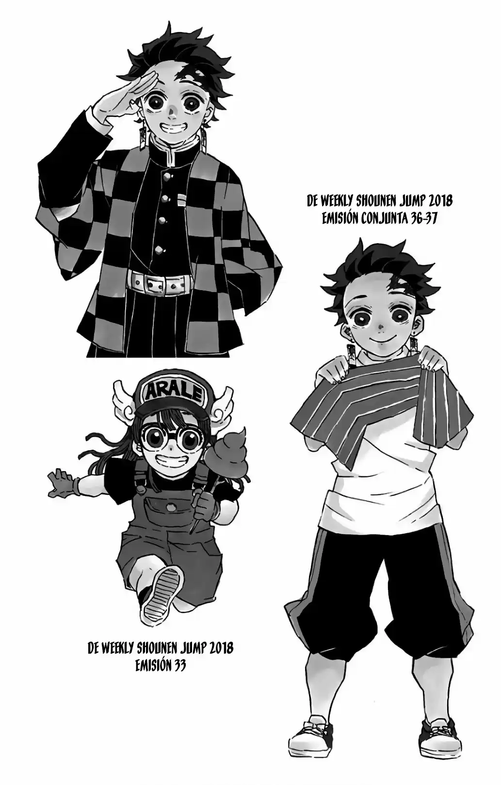 Kimetsu No Yaiba - Capítulo 115.50 - Página 10 - LectorTMOo