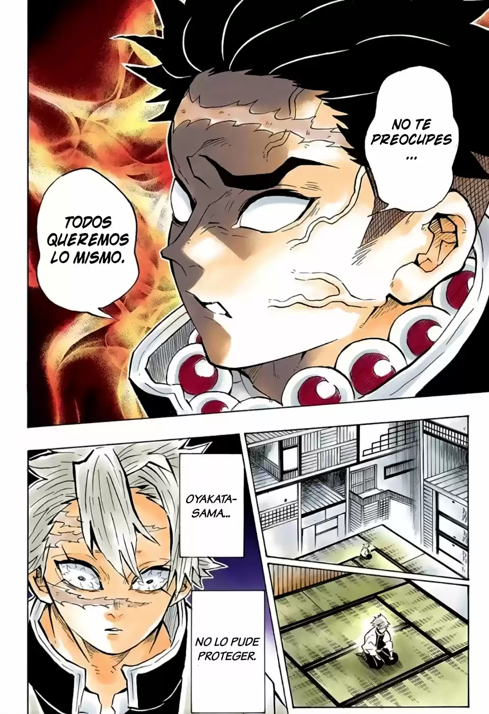 Kimetsu No Yaiba - Capítulo 140.50 - Página 15 - LectorTMOo