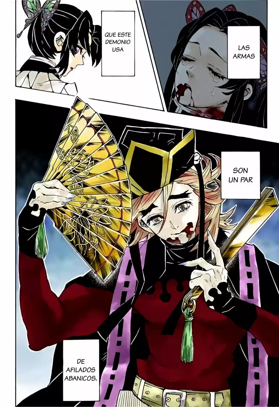 Kimetsu No Yaiba - Capítulo 141.50 - Página 9 - LectorTMOo