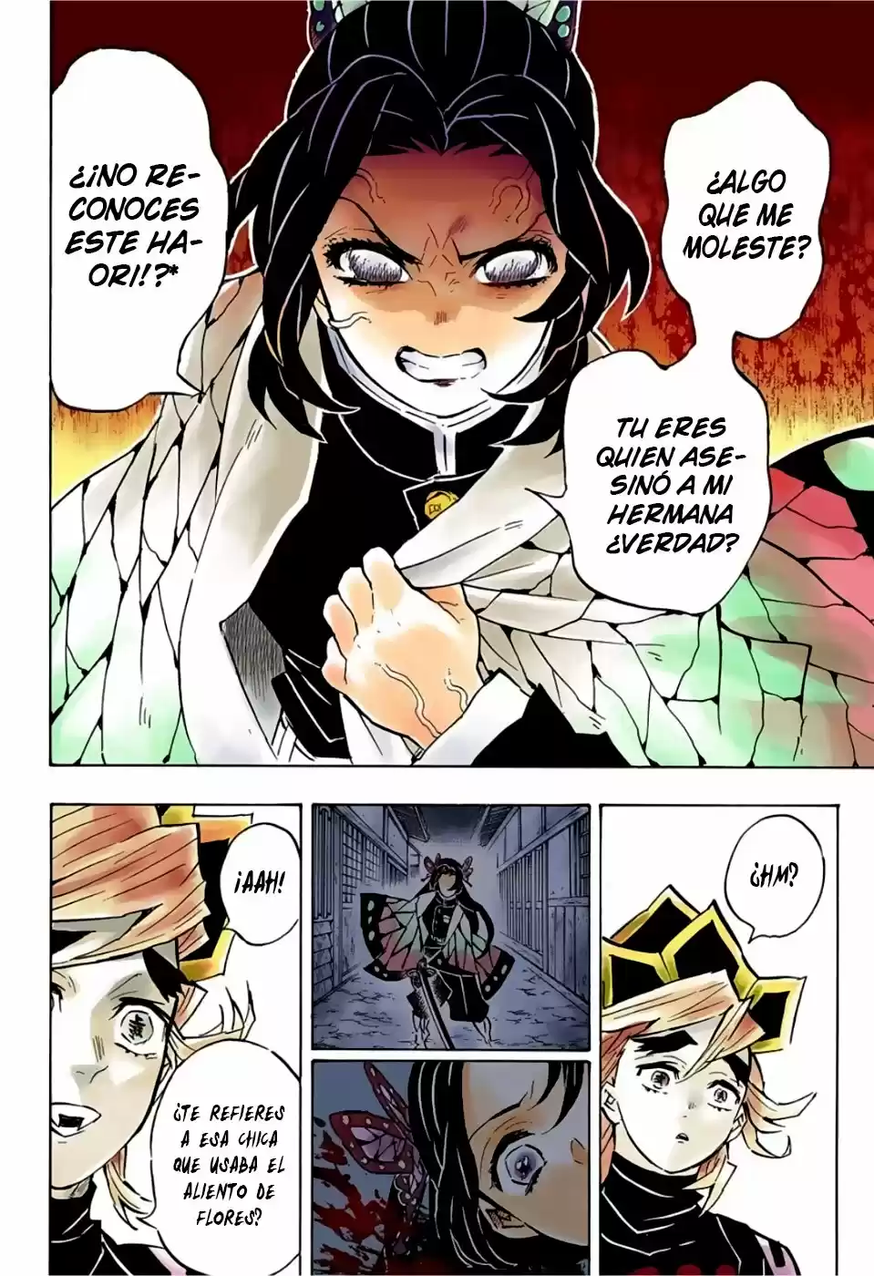 Kimetsu No Yaiba - Capítulo 141.50 - Página 13 - LectorTMOo