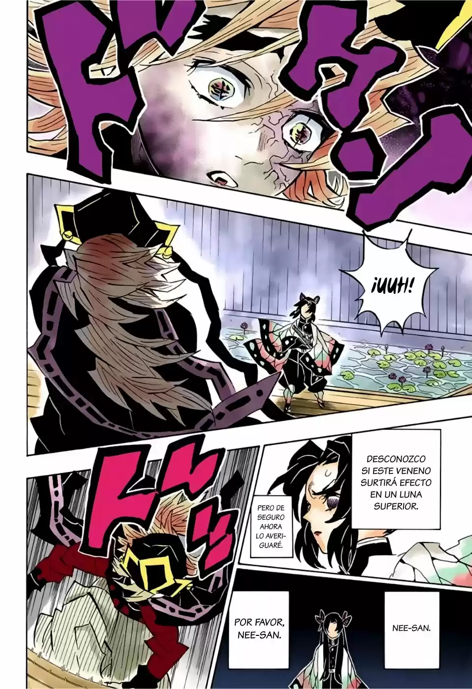 Kimetsu No Yaiba - Capítulo 141.50 - Página 17 - LectorTMOo
