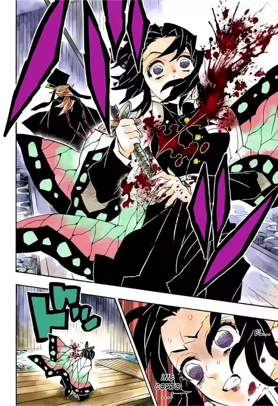 Kimetsu No Yaiba - Capítulo 142.50 - Página 9 - LectorTMOo