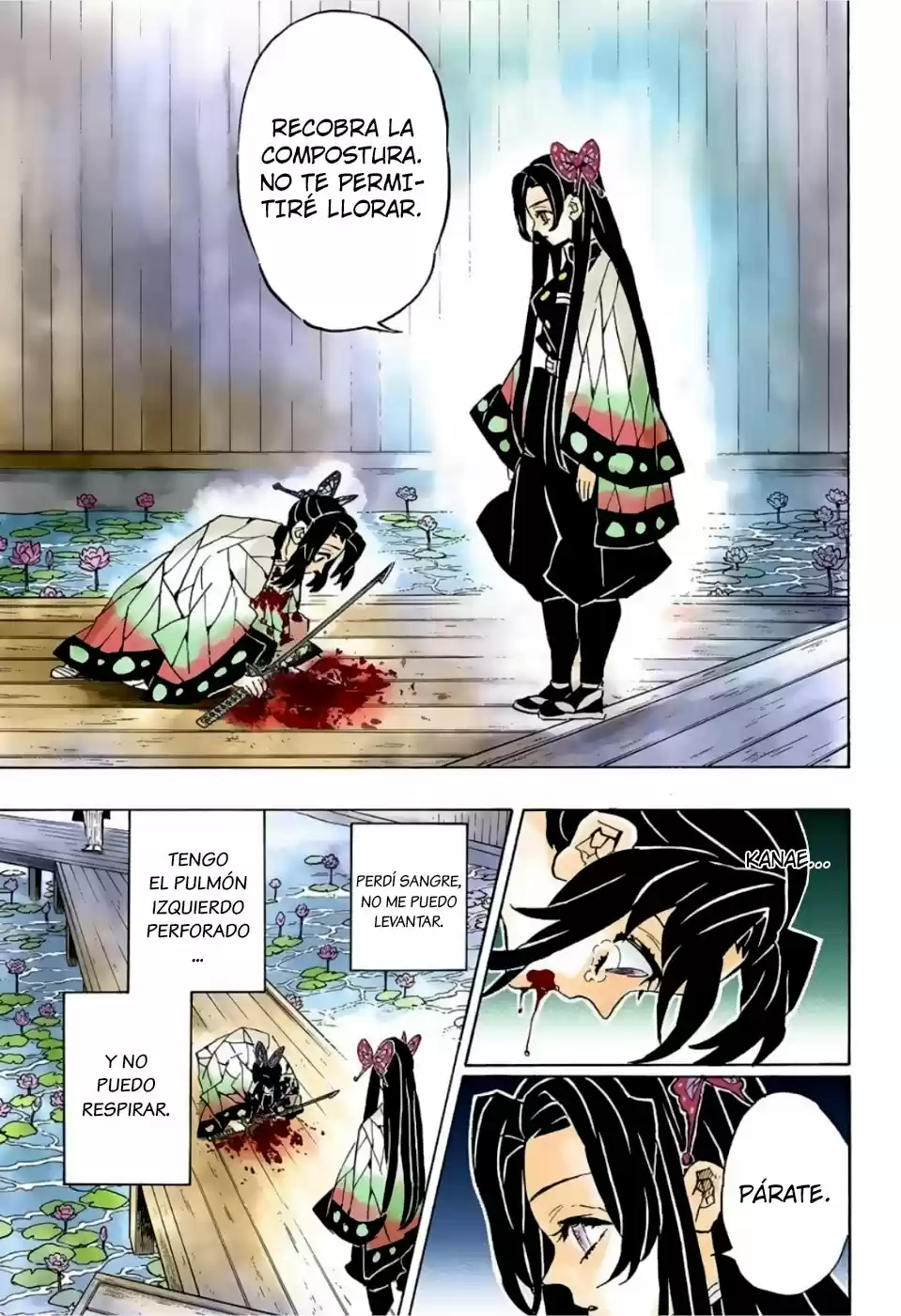 Kimetsu No Yaiba - Capítulo 142.50 - Página 12 - LectorTMOo