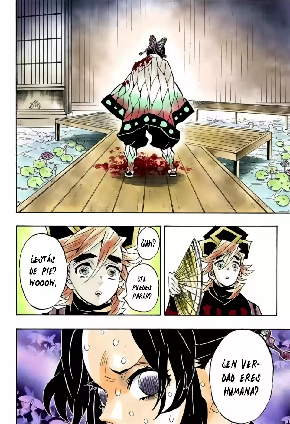 Kimetsu No Yaiba - Capítulo 142.50 - Página 15 - LectorTMOo