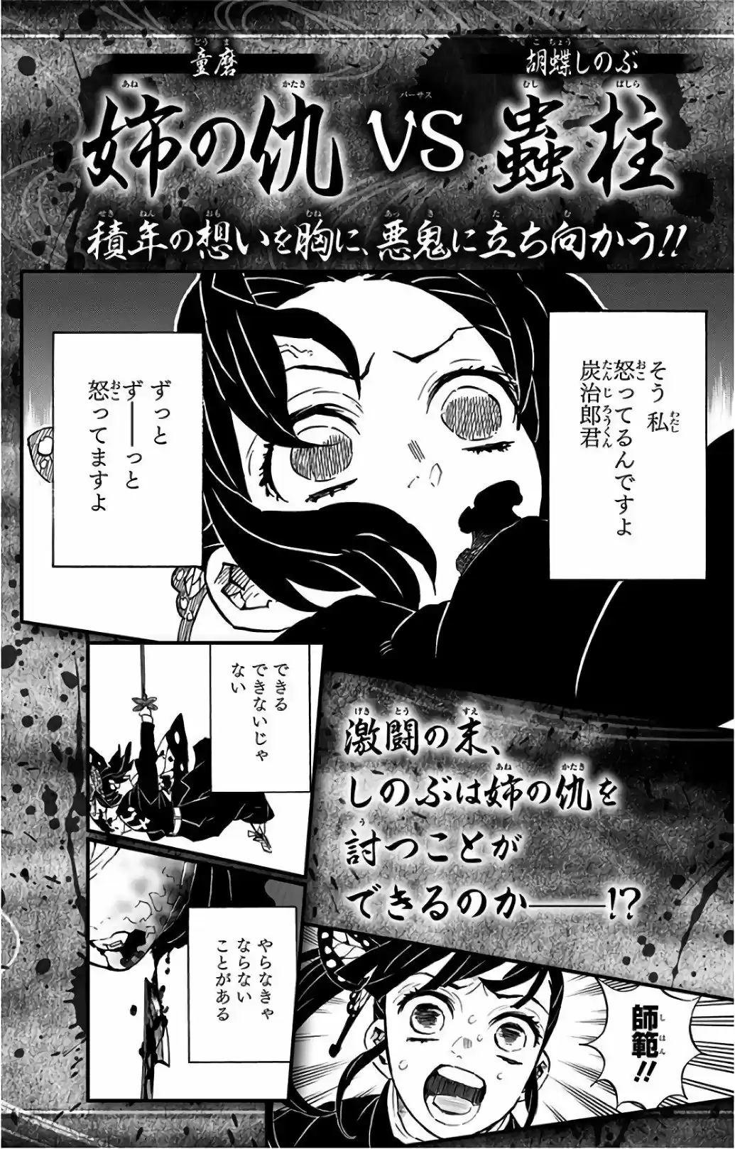 Kimetsu No Yaiba - Capítulo 142.60 - Página 17 - LectorTMOo
