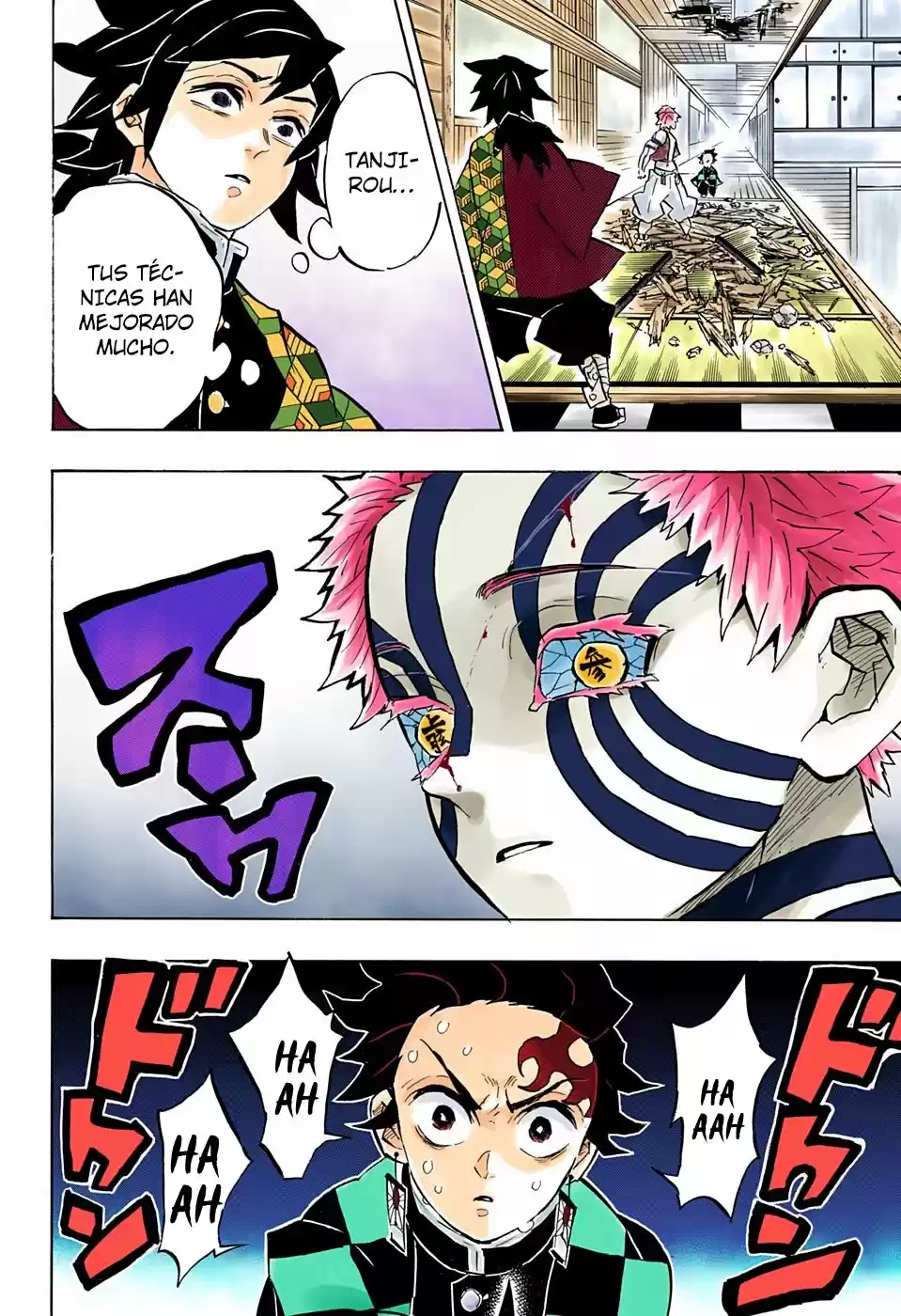 Kimetsu No Yaiba - Capítulo 147.50 - Página 18 - LectorTMOo