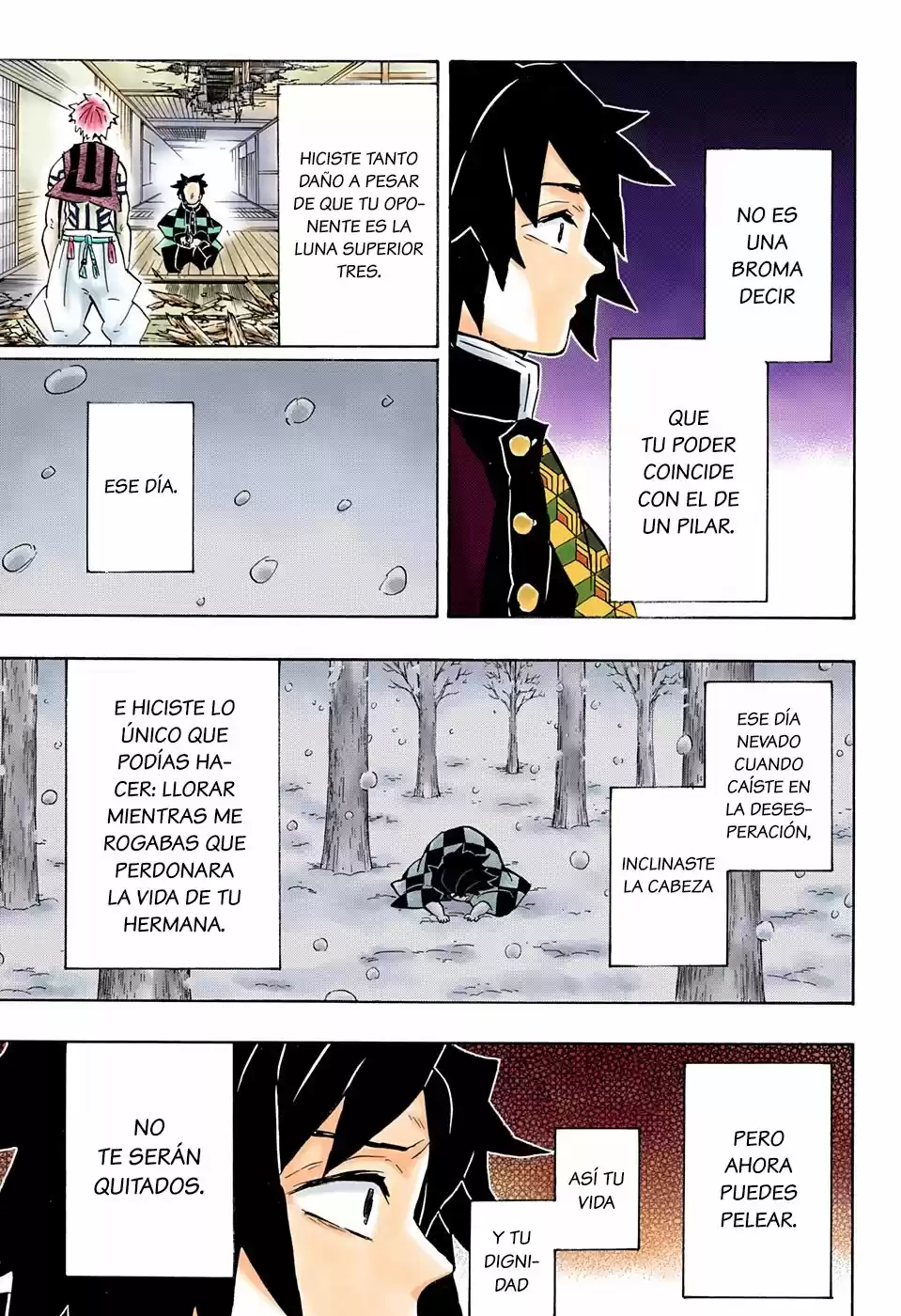 Kimetsu No Yaiba - Capítulo 147.50 - Página 19 - LectorTMOo