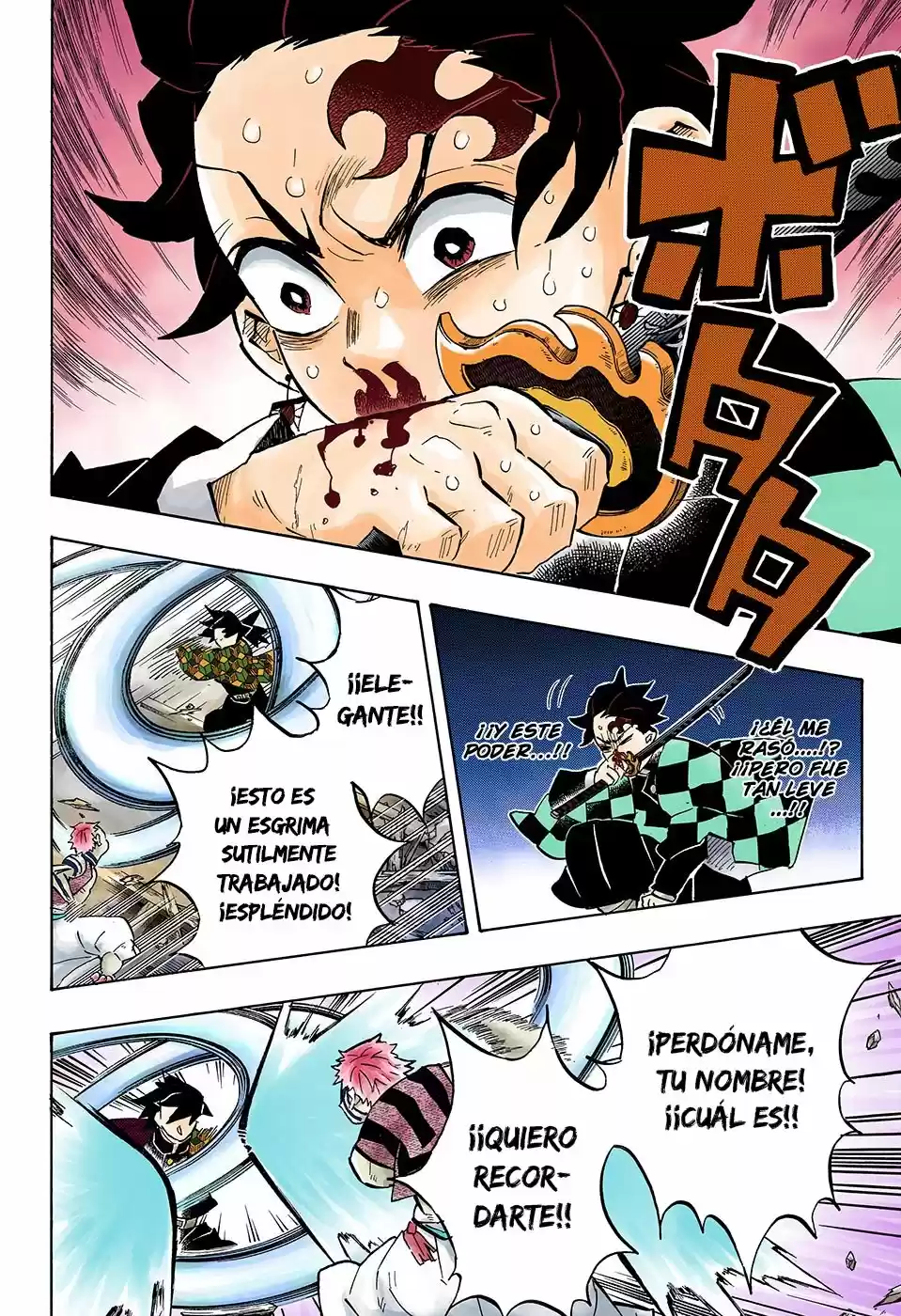 Kimetsu No Yaiba - Capítulo 148.50 - Página 11 - LectorTMOo