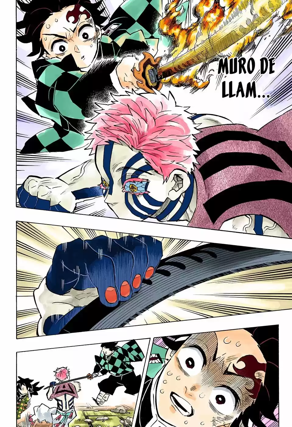 Kimetsu No Yaiba - Capítulo 150.50 - Página 17 - LectorTMOo