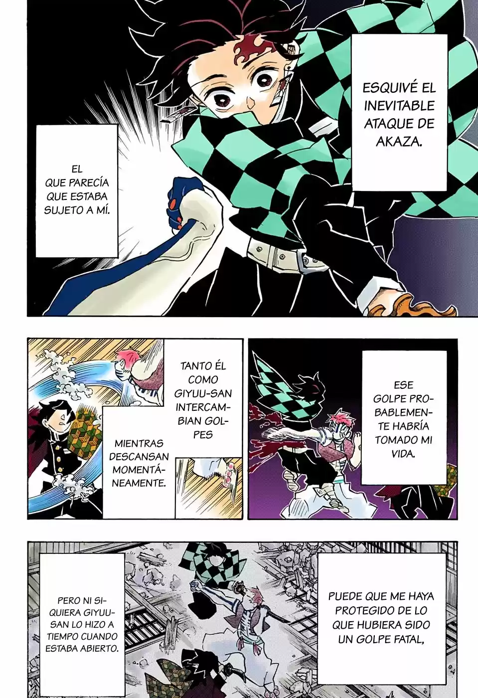 Kimetsu No Yaiba - Capítulo 151.50 - Página 17 - LectorTMOo