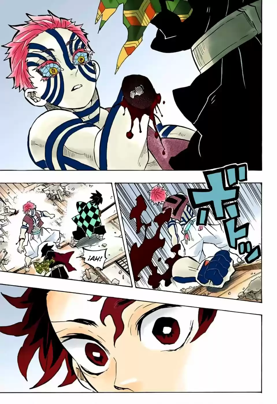 Kimetsu No Yaiba - Capítulo 152.50 - Página 12 - LectorTMOo