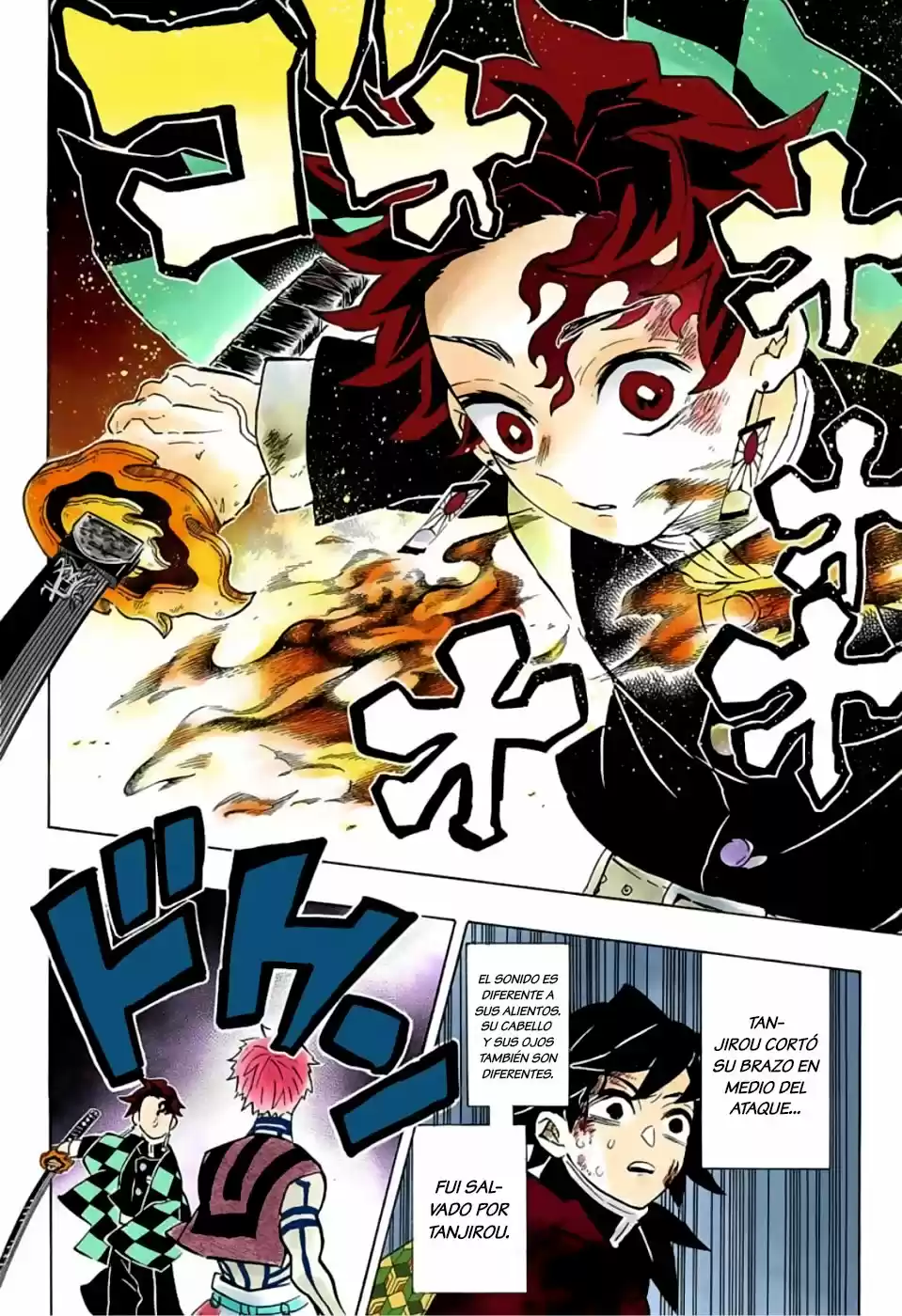 Kimetsu No Yaiba - Capítulo 152.50 - Página 13 - LectorTMOo